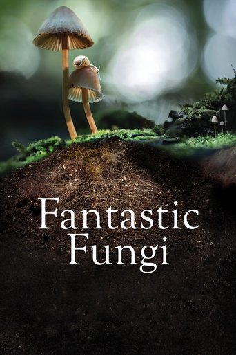 Fantastic Fungi (2019) movie poster