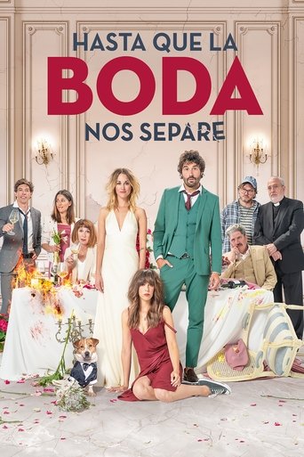 The Wedding Unplanner (2020) movie poster