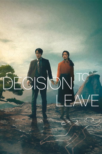 Decision to Leave (2022) movie poster