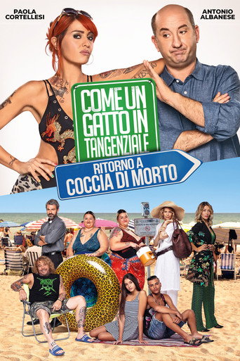 Like a Cat on a Highway 2 (2021) movie poster