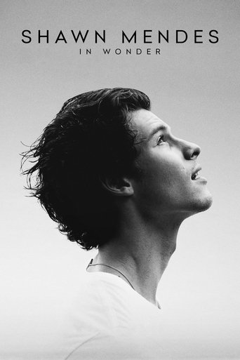 Shawn Mendes: In Wonder (2020) movie poster