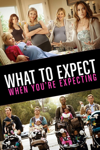 What to Expect When You're Expecting (2012) movie poster