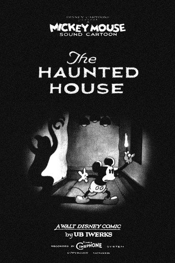 The Haunted House (1929) movie poster