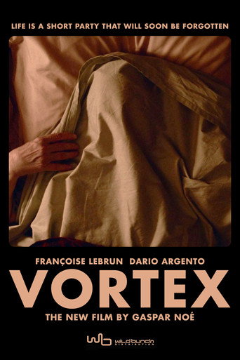 Vortex (2021) movie poster
