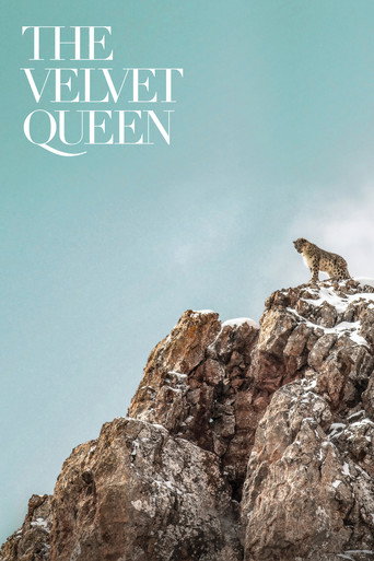The Velvet Queen (2021) movie poster