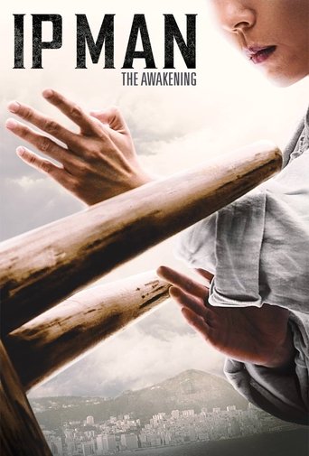 Ip Man: The Awakening (2021) movie poster
