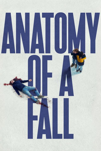 Anatomy of a Fall (2023) movie poster