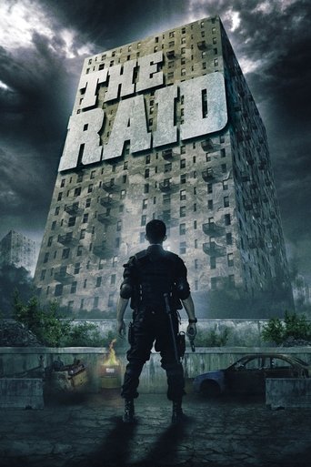 The Raid (2012) movie poster