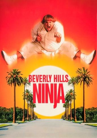 Beverly Hills Ninja (1997) movie poster