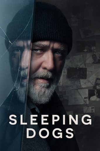 Sleeping Dogs (2024) movie poster