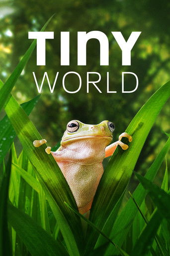 Tiny World (2020) TV series poster