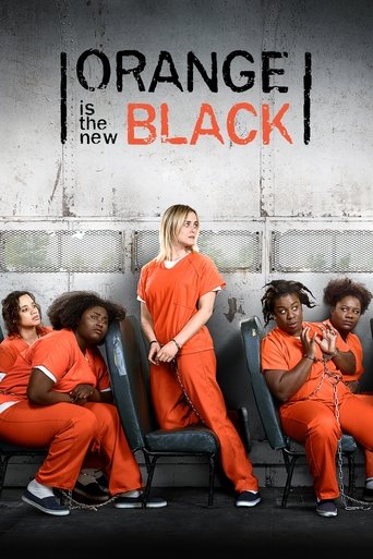 Orange Is the New Black (2013) TV series poster