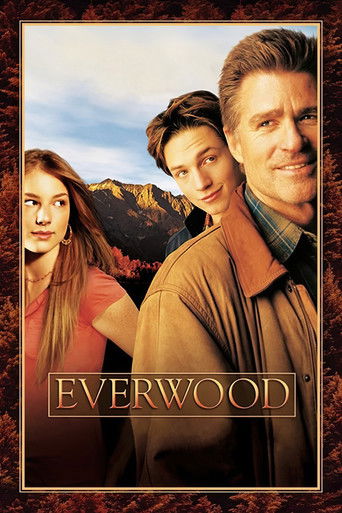 Everwood (2002) TV series poster