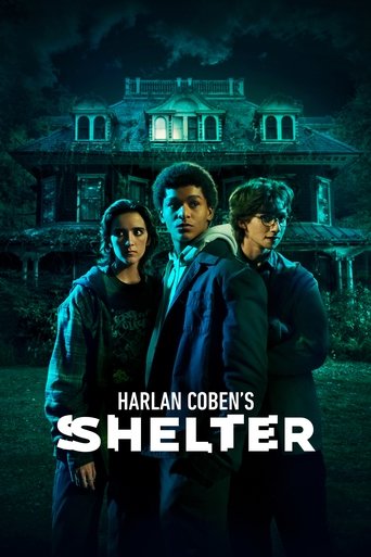Harlan Coben's Shelter (2023) TV series poster