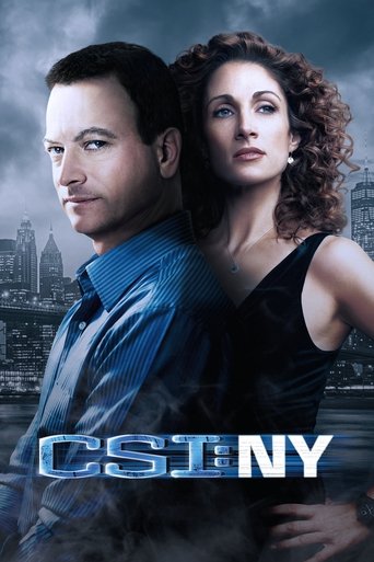 CSI: NY (2004) TV series poster
