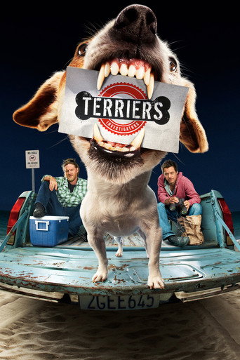 Terriers (2010) TV series poster