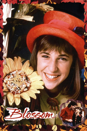 Blossom (1990) TV series poster