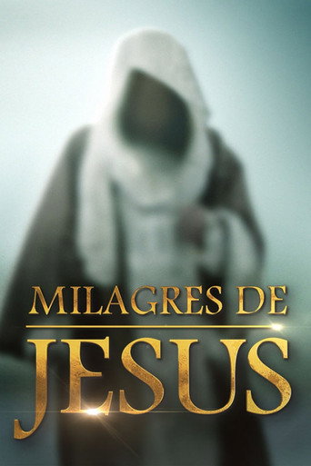The Miracles of Jesus (2014) TV series poster