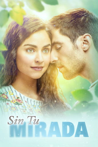 Sin tu mirada (2017) TV series poster
