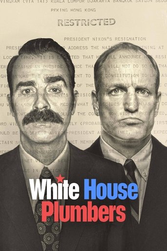 White House Plumbers (2023) TV series poster